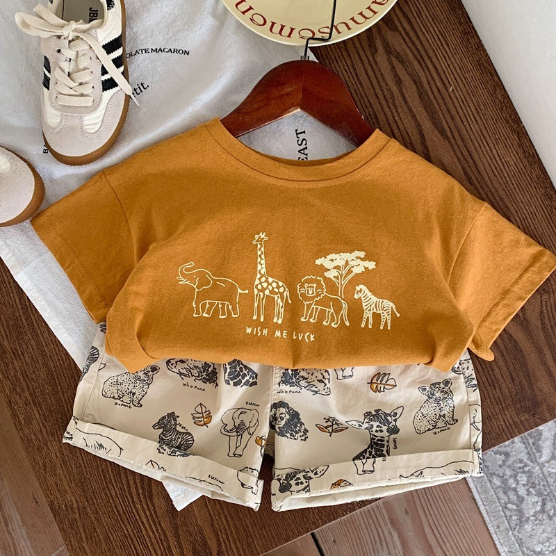 Conjunto Safari