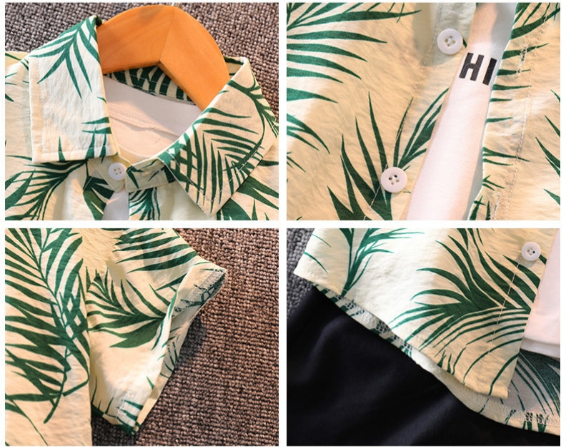 Conjunto Palm