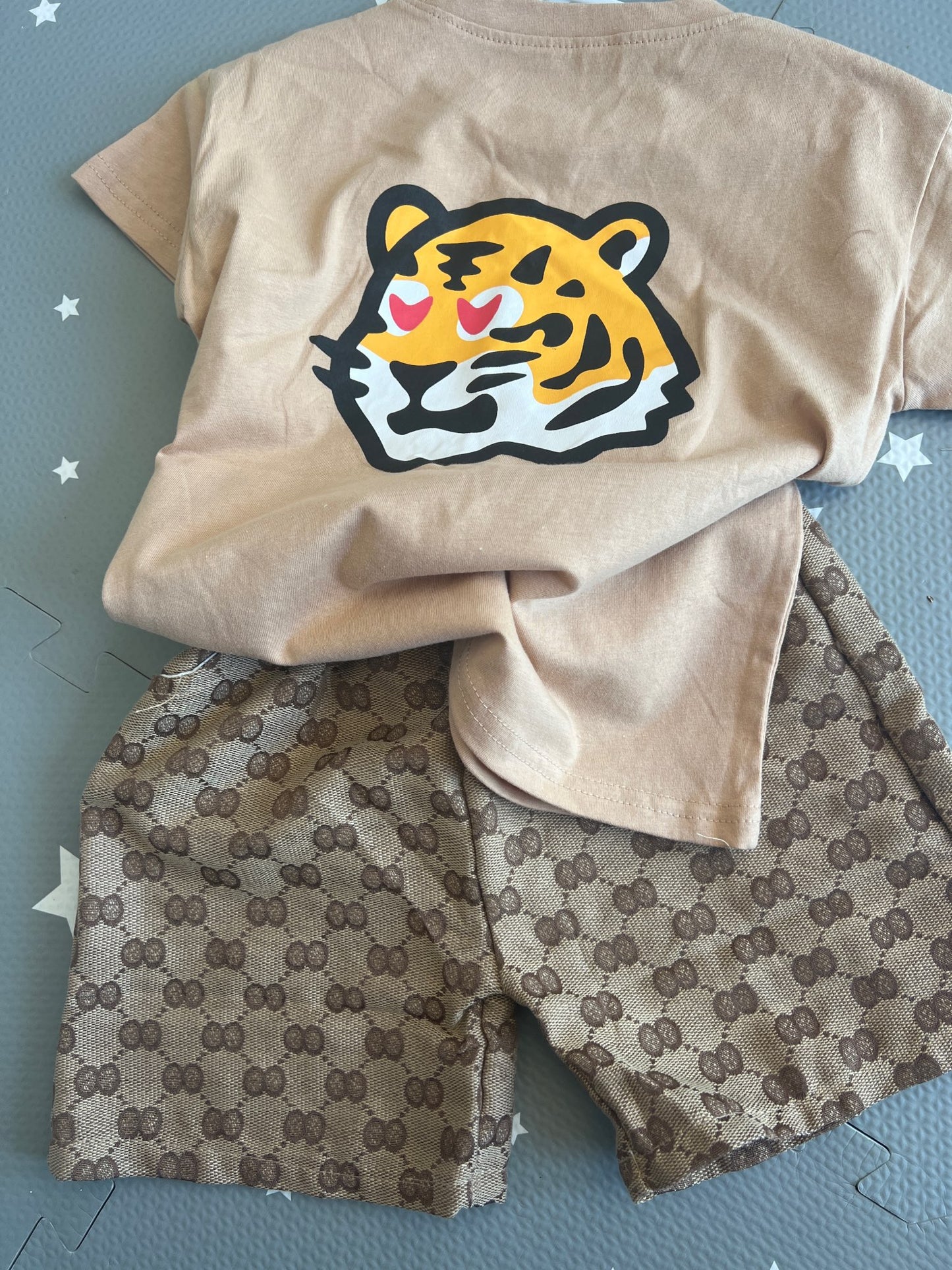 Conjunto Tigre