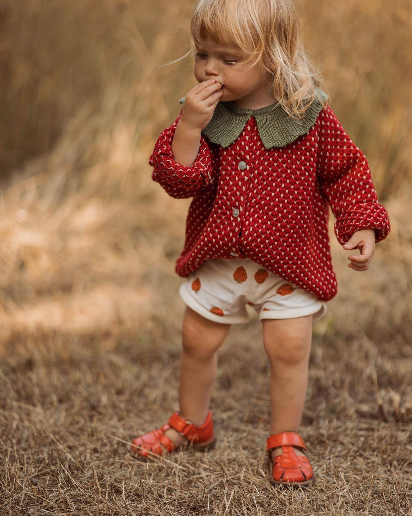 Strawberry Knit Cardigan